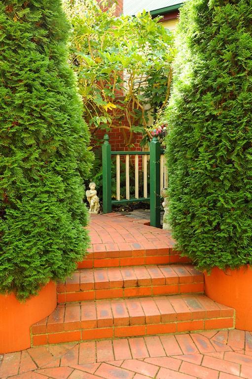 Mary Cards Coach House Bed & Breakfast โอลินดา ห้อง รูปภาพ